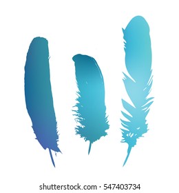 Colorful vector feathers in isolated white background