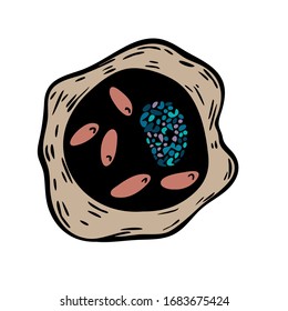 Colorful vector fictional micro cell organism in cartoon style based on the black hand drawn sketches.