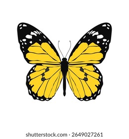 Colorful vector flat illustration. Bright yellow butterfly  with black and white wings isolated on white background. Clipart. Perfect for design, decor or nature themes. EPS 10