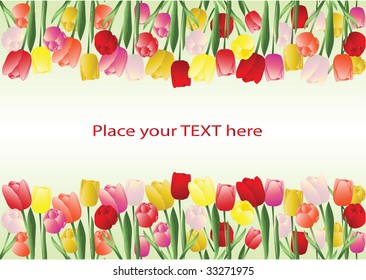 Colorful vector floral background with the space for your text