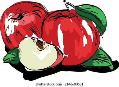 Colorful vector fruit and vegetable illustration