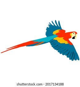 Colorful vector graphic illustration of a beautiful wild bird, the scarlet macaw with amazing feather coat.