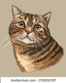 Colorful vector hand drawing portrait of cat. Realistic retro portrait of tabby cat. Vector vintage illustration isolated on beige background.Image good for design, cards and tattoo.Stock illustration