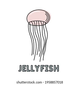 Colorful vector hand drawn doodle cartoon, jellyfish on isolated background