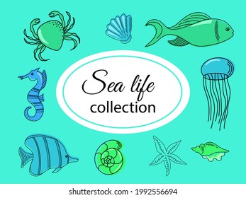 Colorful vector hand drawn doodle cartoon set of marine life theme elements. Vector illustration. Symbols of sea animals