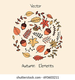 Colorful vector hand drawn set of autumn elements: foliage, berries and acorns. Maple, sycamore, birch, beech and oak tree leaves. 