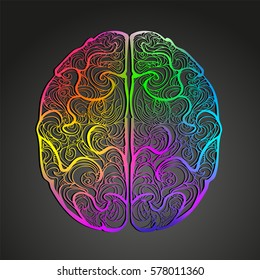 Colorful vector of human brain. Hand drawn doodle decorated with waves. A left and right hemispheres top view. Creativity concept