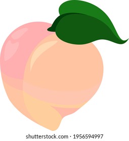Colorful Vector icon of a Peach