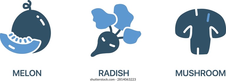 Colorful vector icons of melon radish and mushroom fruits vegetables set