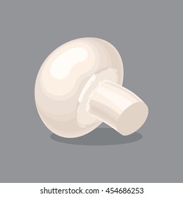 Colorful vector illustration of agaricus mushroom in flat style