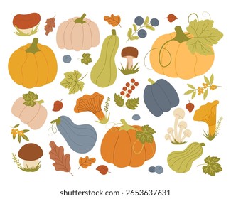 Ilustração vetorial colorida de legumes de outono, frutas e cogumelos, com abóboras, folhas, bagas e vários fungos. Perfeito para projetos sazonais de design e projetos de natureza temática.