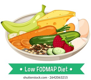 Colorful vector illustration of a balanced low FODMAP diet plate with fruits, vegetables, and cheese