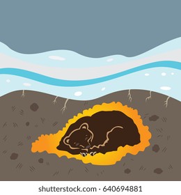 Colorful vector illustration of a bear sleeping under snow in winter hibernation. Cute cartoon style.