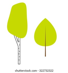 Colorful vector illustration of birch tree isolated on white background.