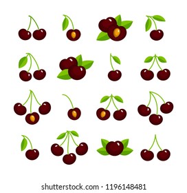 Colorful vector illustration of black cherry with stem & leaves. Flat icon set of organic fresh berry. Vegan & vegetarian food. Health eating fruit ingredients. Isolated objects on white background. 