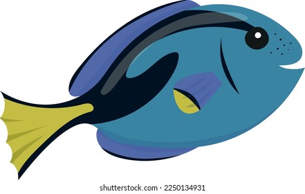 Colorful vector illustration of blue tang (Paracanthurus hepatus). Cartoon animal isolated on white background. Illustration for children.