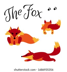 Colorful vector illustration. Card with fox for print design. Isolated flat character design. Handmade calligraphy. Foxy set. Logo element illustration. 