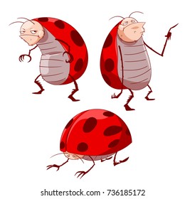 Colorful vector illustration of cartoon grumpy ladybugs