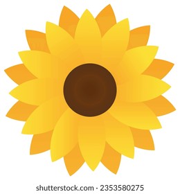 colorful vector illustration composition of sunflowers