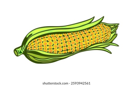 Colorful vector illustration of corn on the cob. Cartoon-style corn  digital artwork illustration with bright yellow kernels