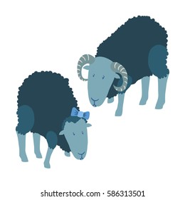 Colorful vector illustration of couple of black sheep wearing blue hair ribbon bow flower in hair, and ram, with curly fur, dark skin, stooping, isolated on white background