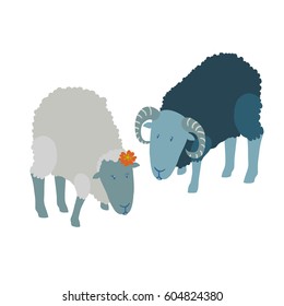 Colorful vector illustration of couple of white sheep wearing orange flower in hair, and black ram, with curly fur, dark skin stooping, isolated on white background