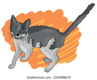 Colorful vector illustration: cute cartooned kitty cat