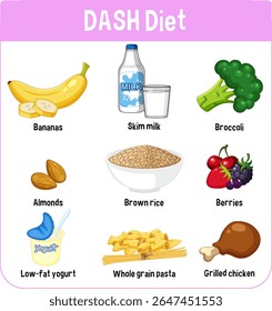 Ilustração vetorial colorida de alimentos dietéticos DASH, incluindo frutas, legumes e proteínas. Design claro e brilhante para uso educacional