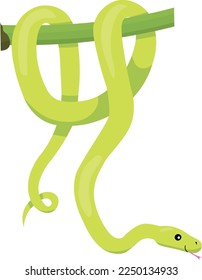 Colorida ilustración vectorial de la serpiente boa de árbol esmeralda. Animales de dibujos animados (Corallus caninus) ilustraciones para niños aislados en fondo blanco.