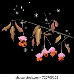 Colorful vector illustration of a European spindle tree bough under first snowflakes. Isolated on black background. Wild nature motif. Euonymus. svg