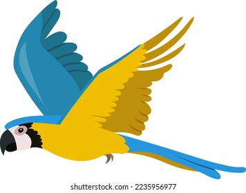 Colorful vector illustration of flying blue Ara parrot. Cartoon Ara ararauna isolated on white background. Illustration for kids.