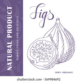Colorful vector illustration. Food design with fruit. Hand drawn sketch of figs. Organic fresh product for card or poster design for cafe, market.