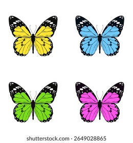 Colorful vector illustration of four butterflies with black and white wing edges in yellow, blue, green, and pink. Isolated on white background, perfect for prints and decoration. Clipart. EPS 10