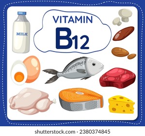 Colorful vector illustration of a frame banner surrounded by food and fruit containing vitamin B12