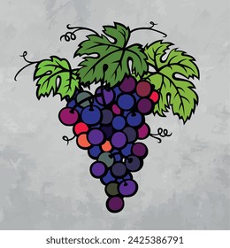 Manojo de uvas con hoja. Estilo de dibujos animados. Ilustración vectorial. 