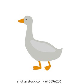 Colorful vector illustration of grey domesticated goose with bright orange beak and feet, walking on ground. Side view. Isolated on white background.