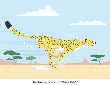 Colorful vector illustration of a happy cheetah running fast across the african savannah landscape. Editable vector format