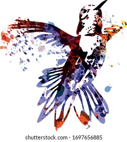 Colorful vector illustration of hummingbird