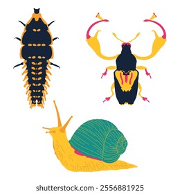 Colorful vector illustration of insects and snail. Includes a Platerodrilus, Neoeuscelus longimanus, Snail. Perfect for educational materials, designs, and biology-related projects.