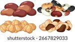 Colorful vector illustration of kidney beans, black-eyed peas, chickpeas, and mixed beans in a flat, cartoon style with soft shading