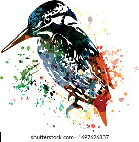 Colorful vector illustration of kingfisher