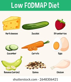 Colorful vector illustration of low FODMAP foods including cheese, zucchini, and strawberries. Clear labels and simple design enhance understanding