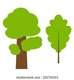 Colorful vector illustration of oak tree isolated on white background.