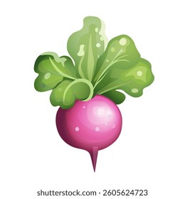 Colorful vector illustration of a purple turnip with shiny surface and green leaves isolated on black background