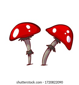 Colorful vector illustration of red mushrooms