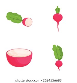 Conjunto de ilustração vetorial colorido com rabanetes inteiros e uma tigela de molho de rábano