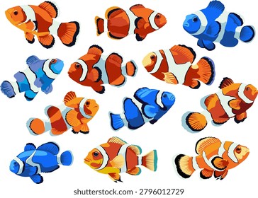 Colorful vector illustration set featuring cute clownfish and anemonefish in orange and blue shades. Isolated tropical marine life clipart collection for kids book illustrations, patterns, aquarium branding, and graphic design assets.