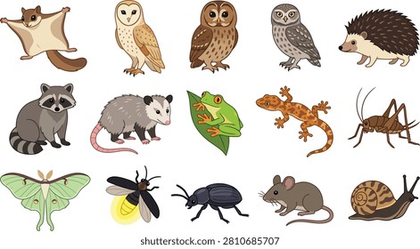 Colorful vector illustration set featuring various nocturnal animals including owls raccoons hedgehogs insects and small mammals on white background