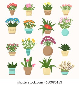 Colorful vector illustration set of flowers and plants, succulent in vases in cartoon flat style.