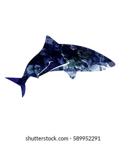 Colorful vector illustration of a shark